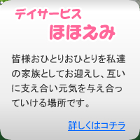 �f�C�T�[�r�X�u�قق��݁v